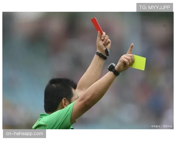 裁判出牌标准：什么动作该吃黄牌还是红牌？