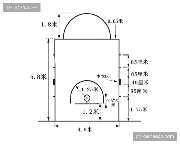 FIBA和NBA的篮球规则有哪些核心差异？新手必知的基础常识