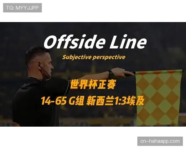 埃及3-1新西兰回顾：G组第二轮关键胜利